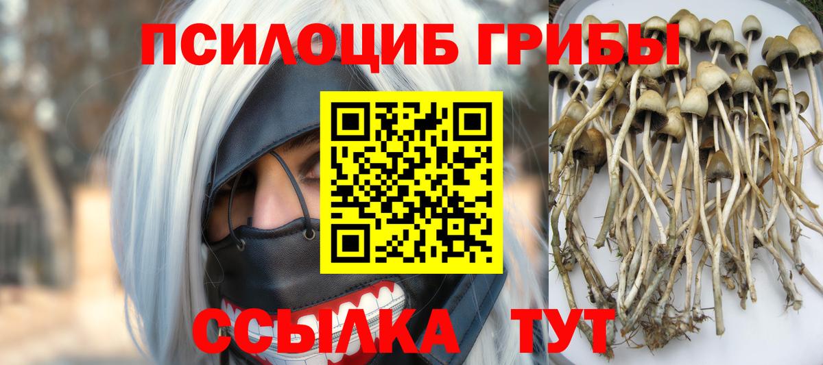 Галлюциногенные грибы GOLDEN TEACHER Тихорецк