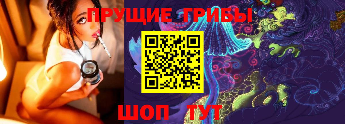где можно купить   Вход с VPN  Тихорецк  Псилоцибиновые грибы Psilocybe 